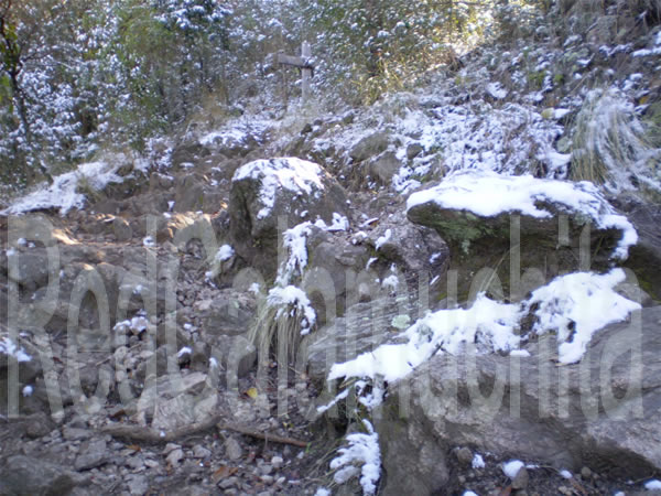 senderos con nieve senderos con nieve