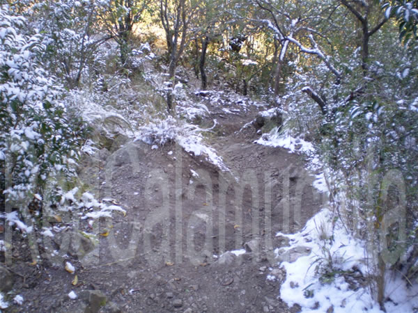 caminos con nieve caminos con nieve