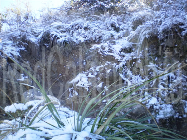 cruz mayor con nieve