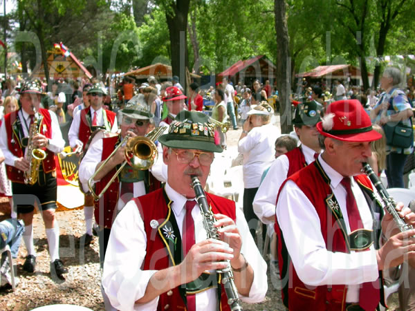 Conjuntos musicales tipicos