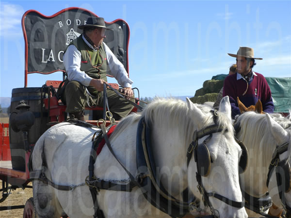 Fotos de carretas antiguas